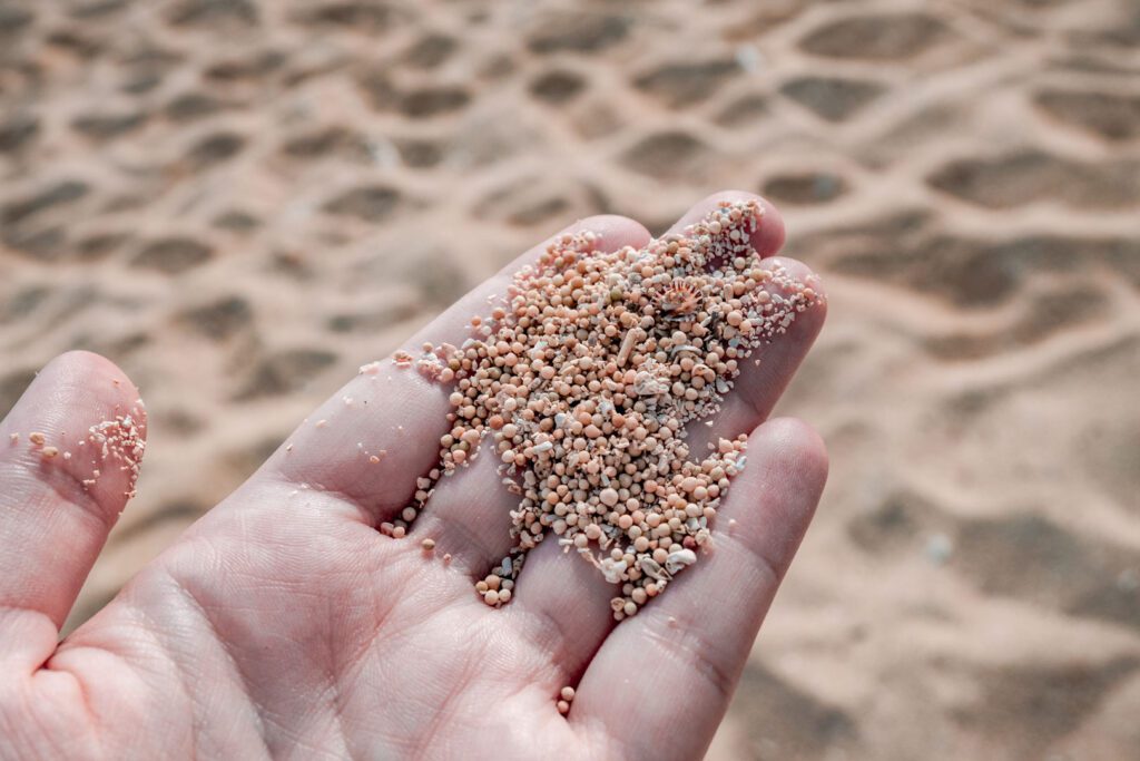 Can I take Sand or Shells from the Beach in Australia?