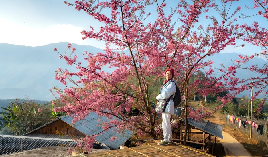 A woman standing next to a vibrant cherry blossom tree in rural Vietnam, reflecting serenity and natural beauty.