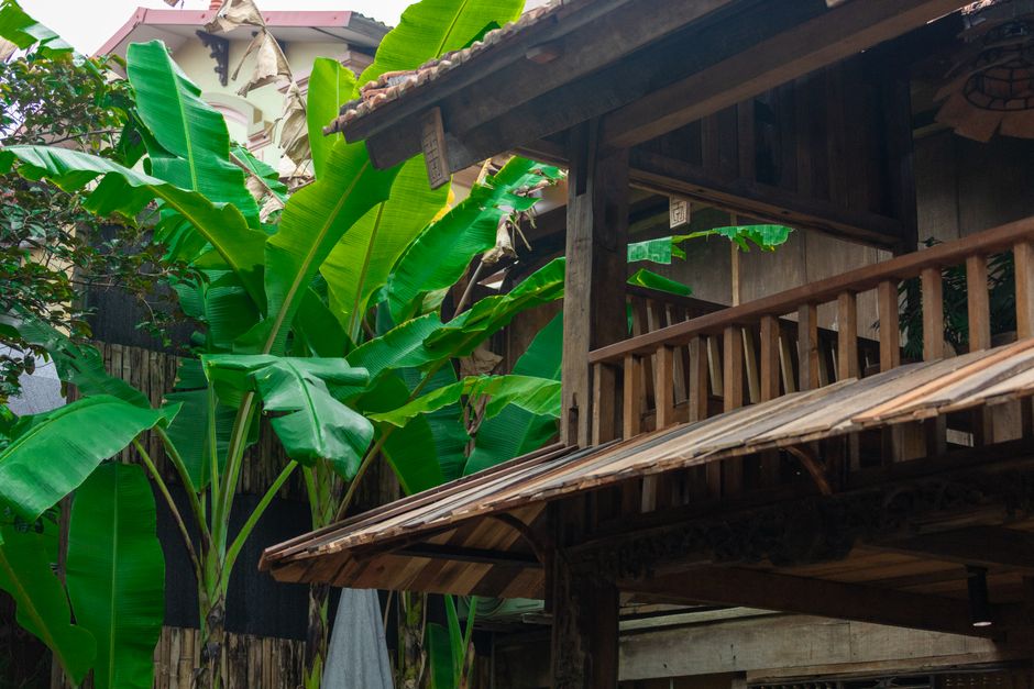 Rustic Vietnamese house surrounded by vibrant banana trees in a tranquil setting.