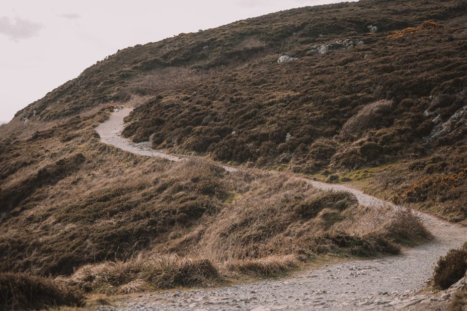 A picturesque winding path in the serene hills of Dublin, Ireland, ideal for hiking and enjoying nature.
