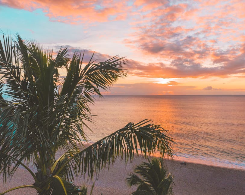 Vibrant sunset over a tranquil beach with coconut trees, ideal for relaxation themes.