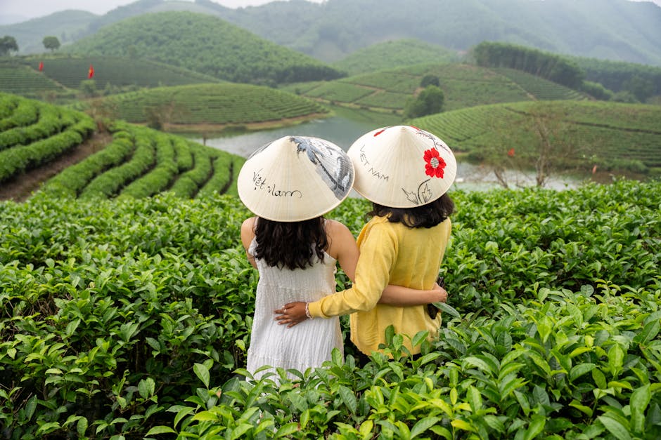 Two Asian women in conical hats embrace, overlooking lush green tea fields.