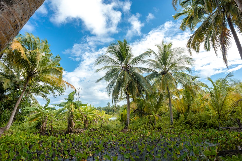 Scenic view of tropical landscape with coconut palms and vibrant greenery under a blue sky.