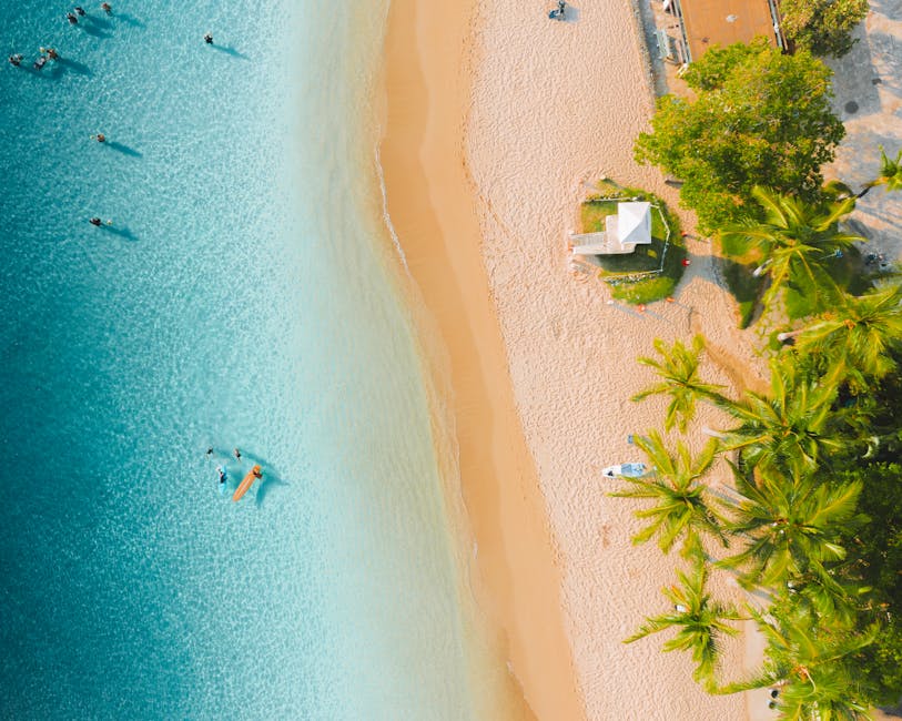 Stunning aerial shot of a tropical beach with turquoise waters, palm trees, and people enjoying a sunny day.