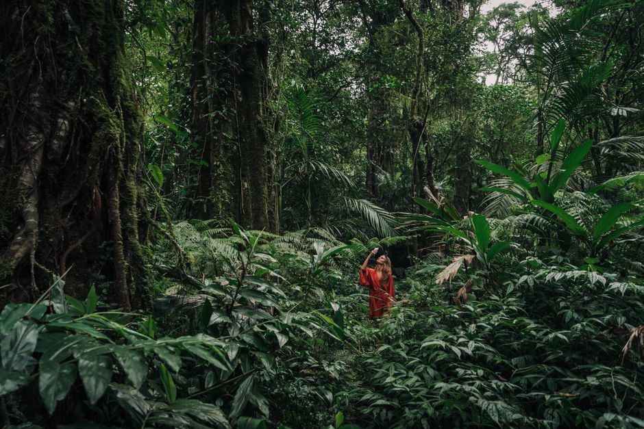 A woman in a red dress exploring a dense tropical jungle, surrounded by lush green foliage.